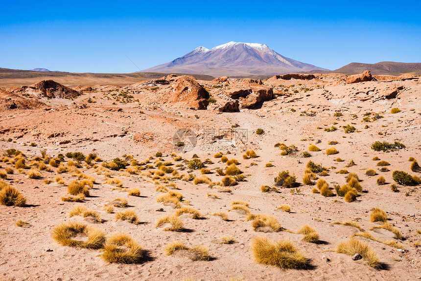 奥利格火山利维亚智利边界上的个巨大的成层火山图片