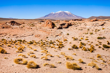 奥利格火山利维亚智利边界上的个巨大的成层火山图片