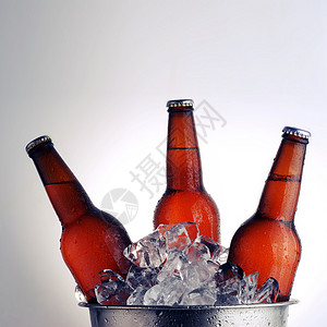 三个棕色啤酒瓶冰桶中凝结图片