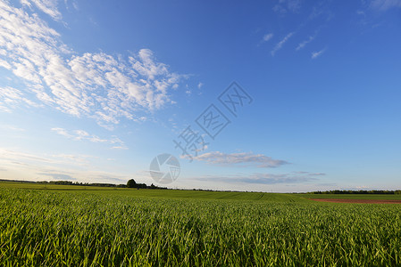 春天绿色的草地天空景观图片