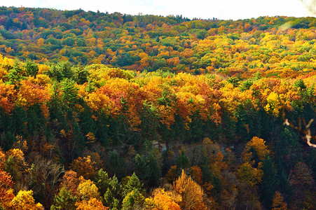 莱奇沃思州立公园的秋天场景图片