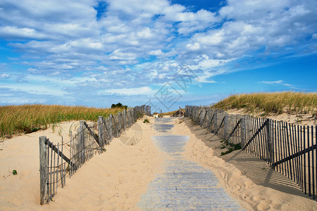 路径海滩科德角,马萨诸塞州,美国高清图片