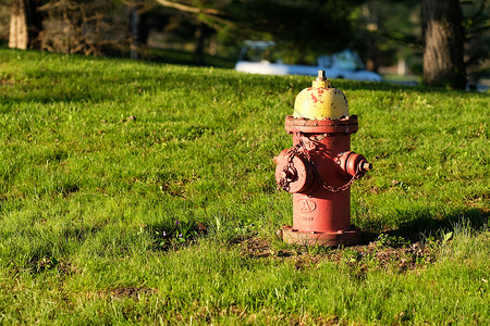 草地上的旧红色消防栓图片