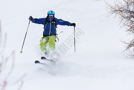 极限自由滑雪滑雪者滑雪新鲜粉末雪森林下坡冬季季节图片