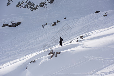 极限自由滑雪滑雪者滑雪新鲜的粉末雪下坡冬季山脉图片