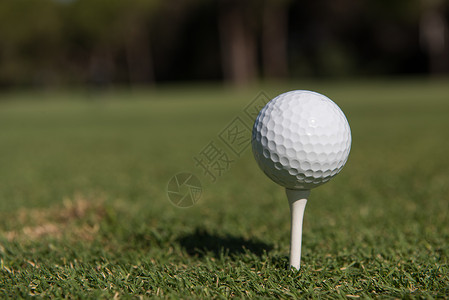 高尔夫球球美丽的球场与新鲜的绿色草背景图片