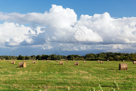 干草领域农业,收获,季节自然干草堆干草辊夏季田间背景