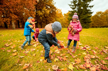 童,休闲,秋天,友谊人的群孩子公园收集树叶图片