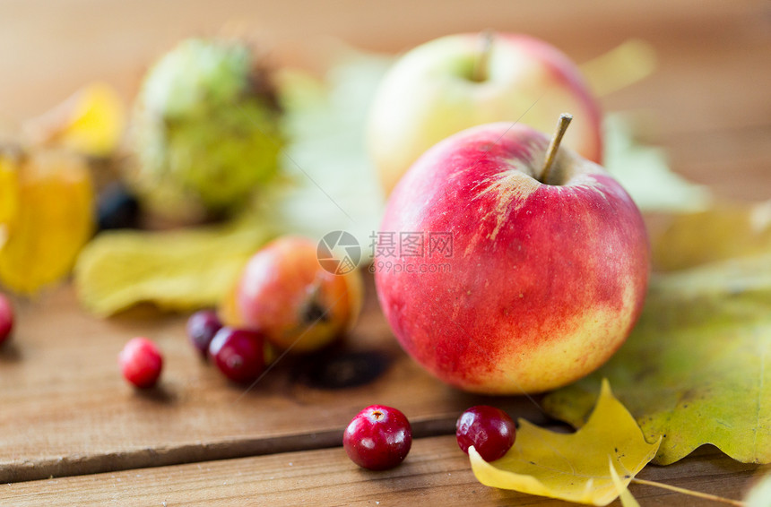 自然,季节,秋天植物学的秋天的叶子,水果浆果木桌上图片
