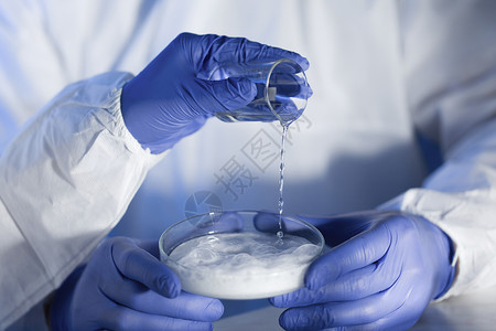科学,化学人的密切科学家的手与璃化学粉末培养皿制作测试实验室研究图片