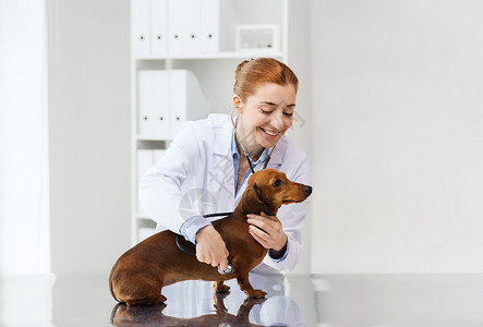 医学,宠物,动物,保健人的快乐的兽医医生与听诊器检查狗兽医诊所图片