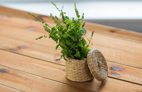 植物学,夏季,园艺草药新鲜梅丽莎柳条篮子木制桌子上图片