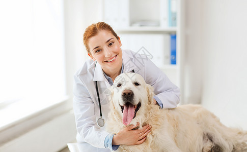 狗外套医学,宠物,动物,保健人的快乐的兽医医生与黄金猎犬兽医诊所背景