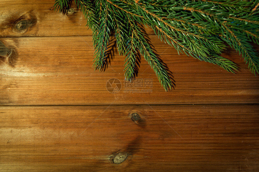 诞节,装饰,假日广告自然冷杉树枝空白棕色木板图片
