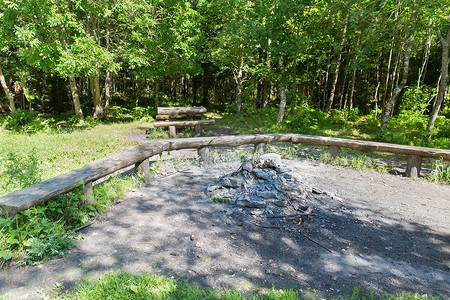 野营,旅游,徒步旅行环境营地消防场所与长凳座位森林图片