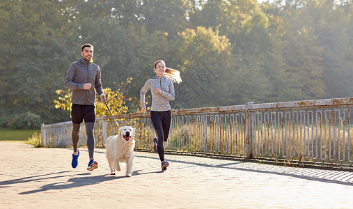 健身,运动,人生活方式的快乐的夫妇与狗户外跑步高清图片