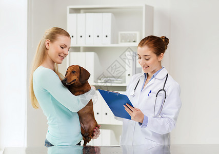 医学,宠物护理人的快乐的女人抱着达奇森德狗兽医医生与剪贴板兽医诊所图片