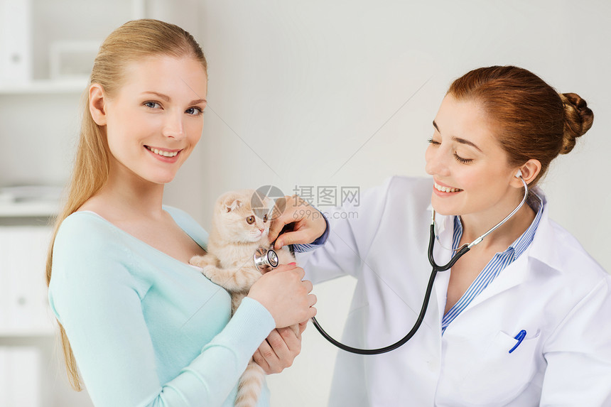 医学,宠物,动物,保健人的快乐的女人兽医医生用听诊器检查苏格兰折叠小猫兽医诊所图片