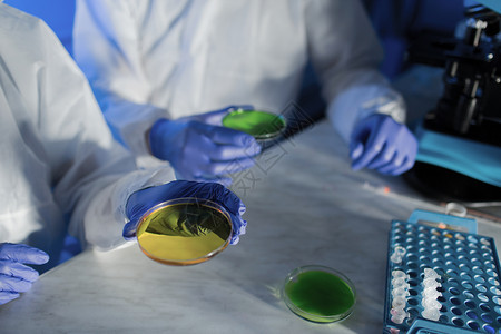 医疗后台管理系统科学化学人的培养皿中用化学样品的科学家实验室进行测试研究背景
