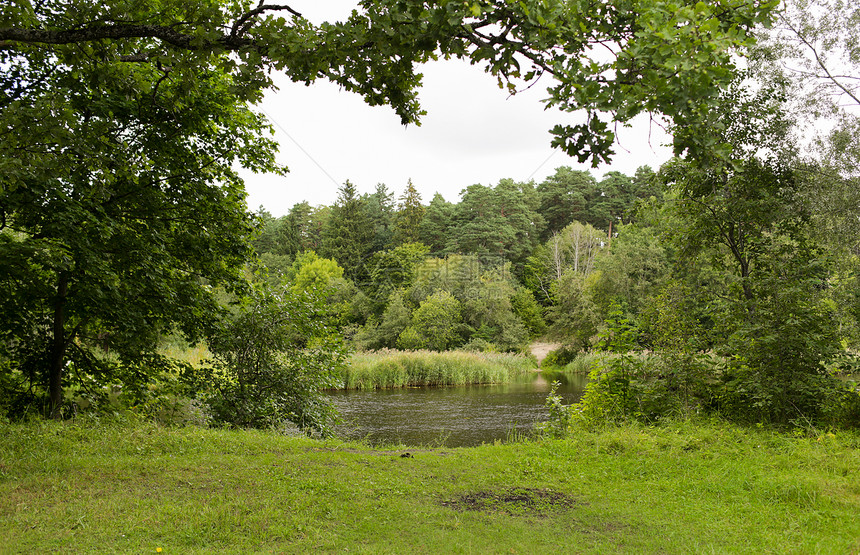 自然季节环境夏季森林河流湖泊的景观图片