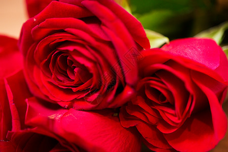 爱情,约会,鲜花,情人节假期的红玫瑰背景图片