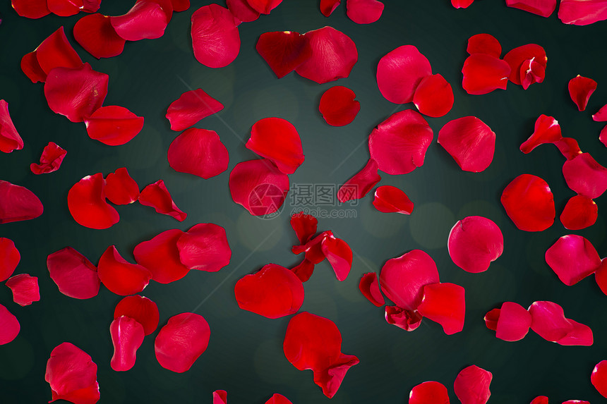 爱情,浪漫,情人节假期的红色玫瑰花瓣黑暗的背景图片