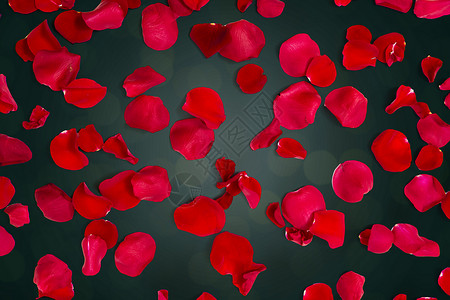 爱情,浪漫,情人节假期的红色玫瑰花瓣黑暗的背景图片