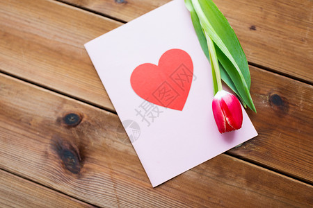节日,爱情情人节的郁金香花贺卡与心木桌上高清图片