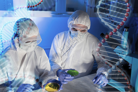 科学化学人的培养皿中用化学样品的科学家实验室进行DNA分子结构的测试研究背景图片