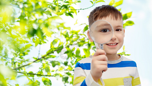 童,环境,生态,发现人的快乐的小男孩透过放大镜看绿色的自然背景图片