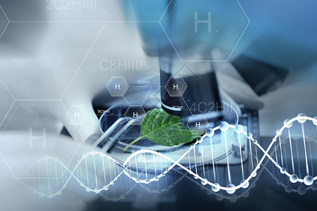 生态学培养基科学化学生物学人的科学家实验室中就氢化学公式DNA分子结构进行显微镜绿叶制作研究背景