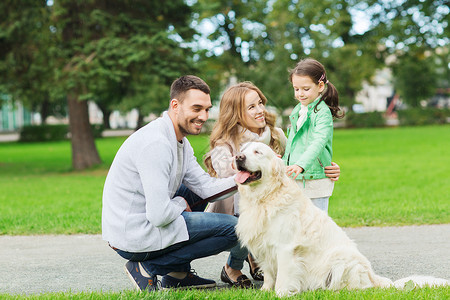 父亲与狗家庭,宠物,家畜人的快乐的家庭与拉布拉多猎犬夏季公园散步背景