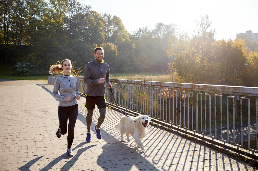 健身,运动,人慢跑的快乐的夫妇与狗户外跑步图片