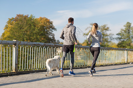 健身,运动,人慢跑的夫妇与狗户外跑步图片