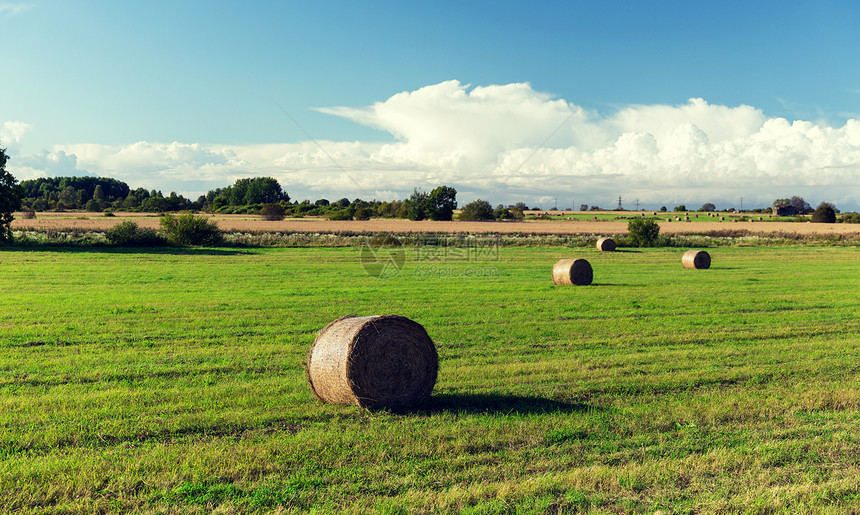 农业,收获,季节自然干草堆干草辊夏季田间图片