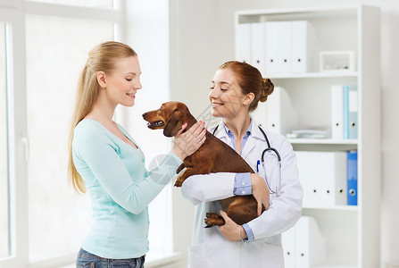 狗外套医学,宠物护理人的快乐的女人兽医医生兽医诊所抱着达奇森德狗背景