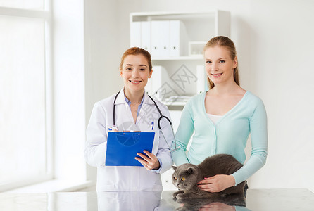 医学,宠物,动物,保健人的快乐的女人与英国猫兽医医生与剪贴板兽医诊所笔记图片