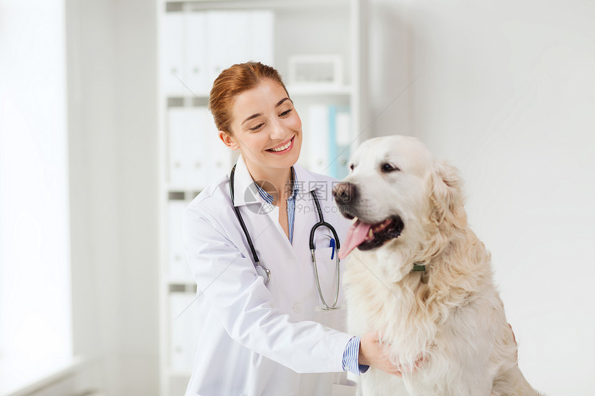 医学,宠物,动物,保健人的快乐的兽医医生与黄金猎犬兽医诊所图片