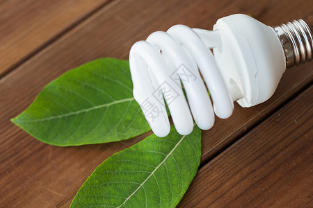 回收,电力,环境生态节能照明灯泡木板绿叶图片