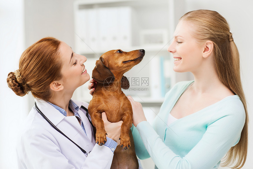 医学,宠物护理人的快乐的女人兽医医生兽医诊所抱着达奇森德狗图片