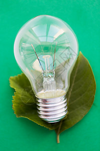 回收,节能,电力,环境生态灯泡白炽灯的绿色图片