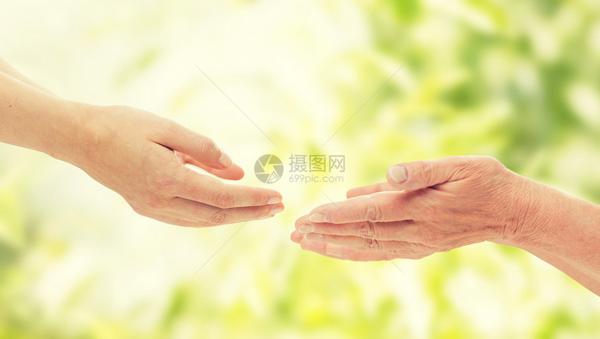 人,龄,家庭,照顾支持的亲密的老年女子轻妇女绿色的自然背景下互相伸出手图片