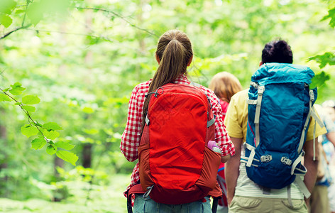 冒险,旅行,旅游,徒步旅行人的亲密的朋友步行与背包树林后图片