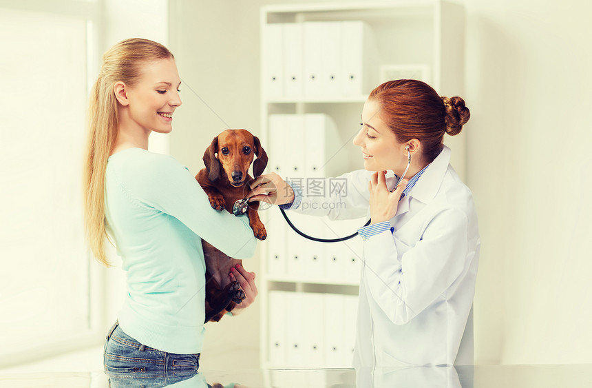 医学,宠物,动物,保健人的快乐的女人抱着达奇森德兽医医生用听诊器检查狗的心跳兽医诊所图片