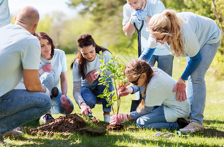 志愿服务慈善人生态理念群快乐的志愿者公园里种植树图片