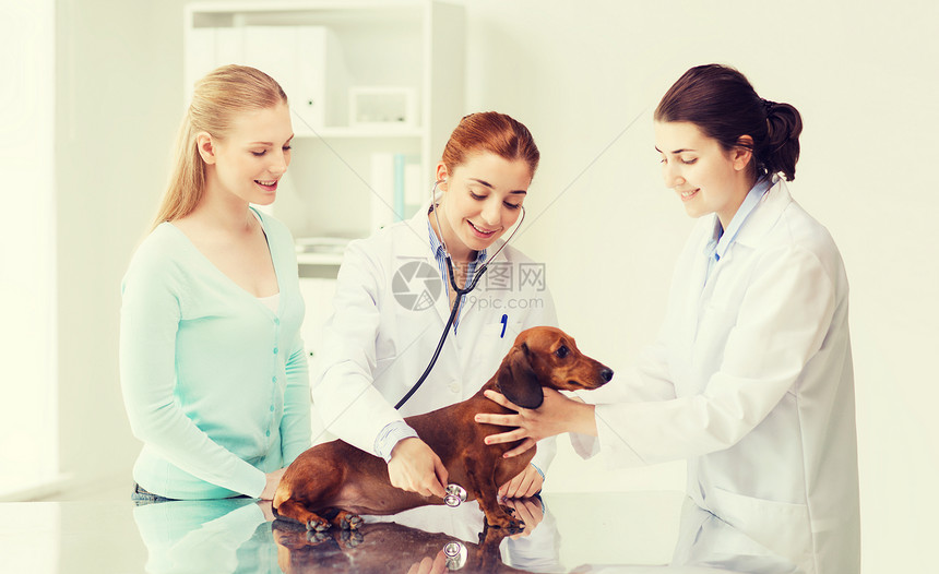 医学,宠物,动物,保健人的快乐的妇女兽医医生用听诊器检查狗的健康兽医诊所图片