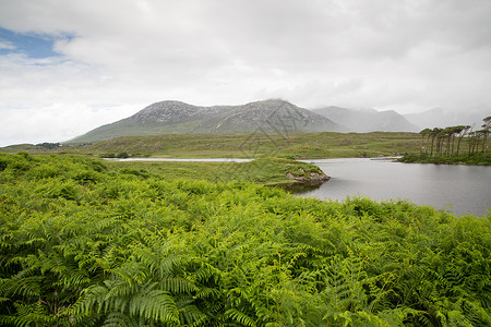 自然景观爱尔兰山谷的湖泊河流中的岛屿爱尔兰的湖泊河流中观看岛屿图片