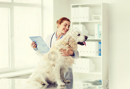 医学,宠物,动物,保健人的快乐的兽医医生与黄金猎犬剪贴板兽医诊所图片