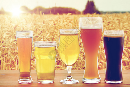 啤酒厂,饮料酒精同的啤酒桌子上的谷类食品背景图片