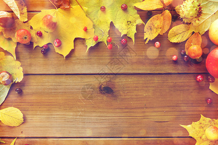自然季节广告装饰木桌上秋叶水果浆果的框架图片